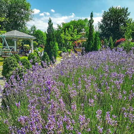 Forteca, Pokoje Goscinne Nad Stawem Dzierżoniów Dış mekan fotoğraf