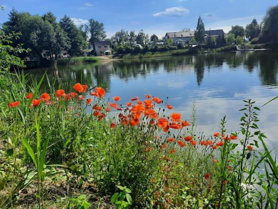 Forteca, Pokoje Goscinne Nad Stawem Dzierżoniów Dış mekan fotoğraf