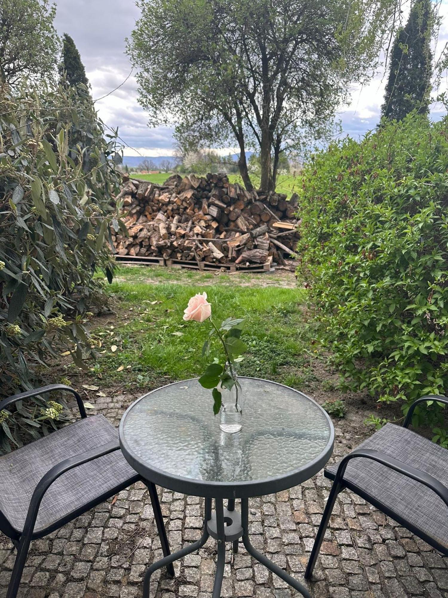 Forteca, Pokoje Goscinne Nad Stawem Dzierżoniów Dış mekan fotoğraf