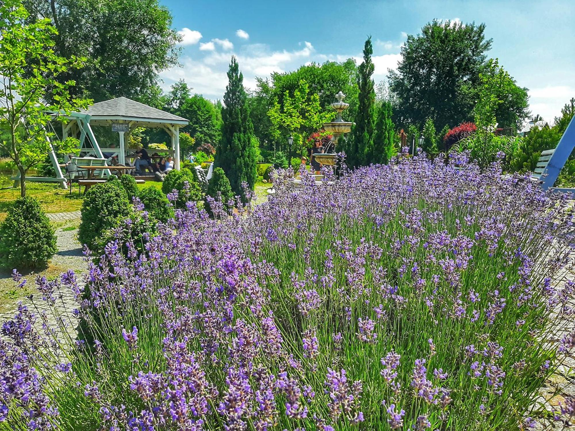Forteca, Pokoje Goscinne Nad Stawem Dzierżoniów Dış mekan fotoğraf